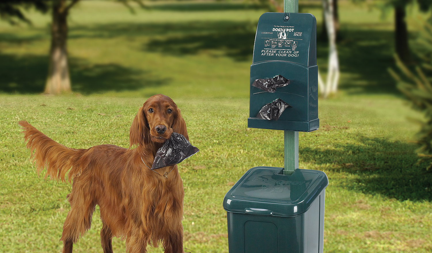 dog waste solutions