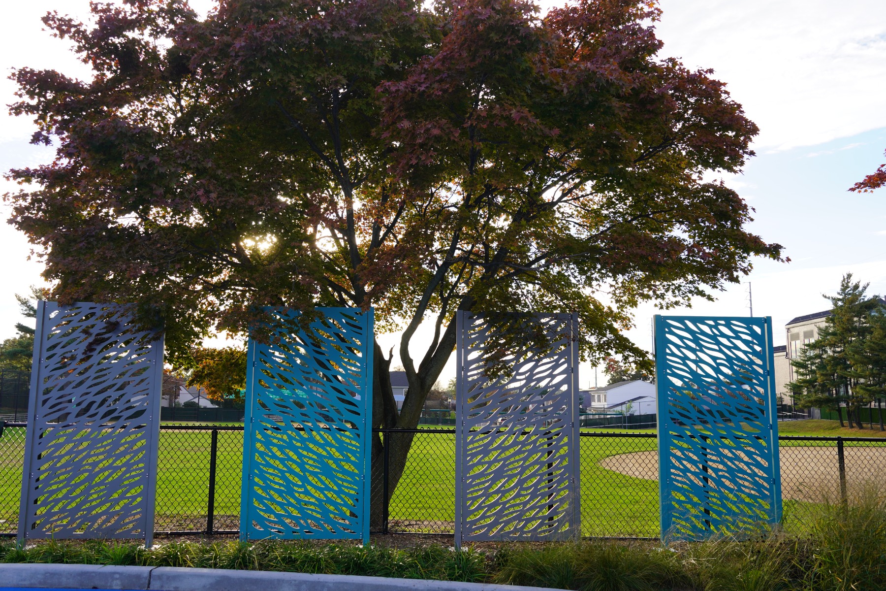 Fuschillo Park Projects