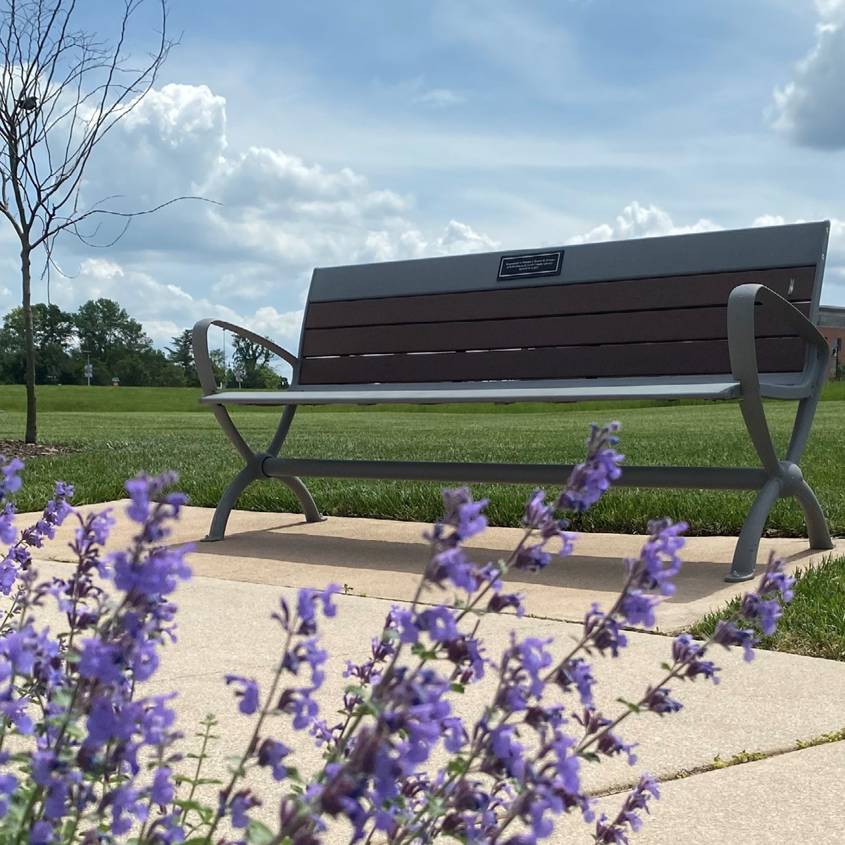 ビーコン185 Beacon 185-103 Wood 185mm/103g B18 Beacons - Cell2