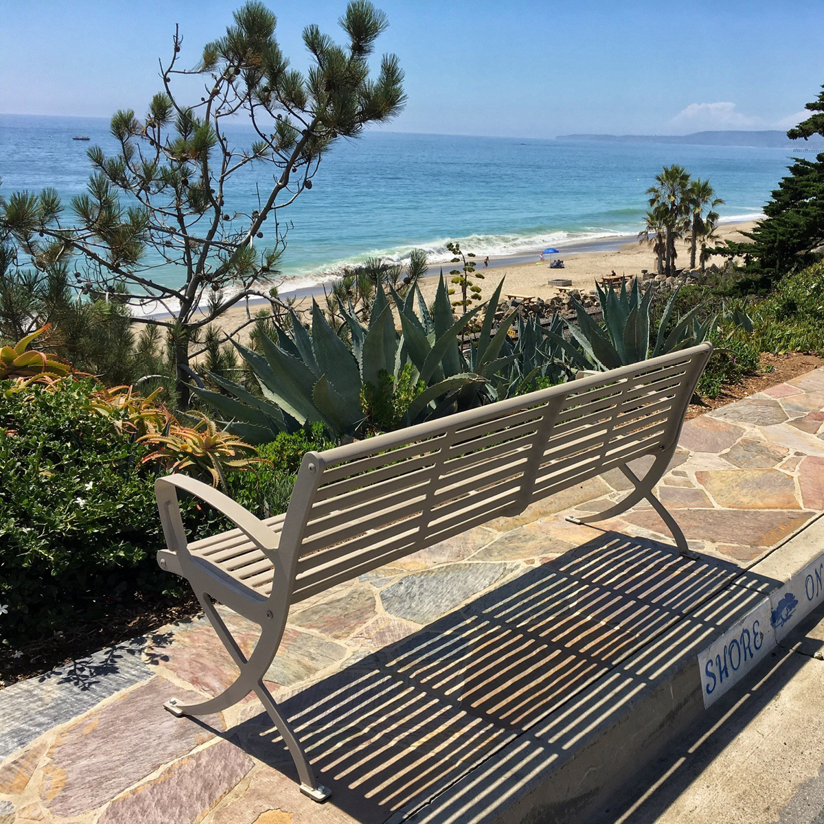 Anova Exposition 6' Contour Bench | LEXC6